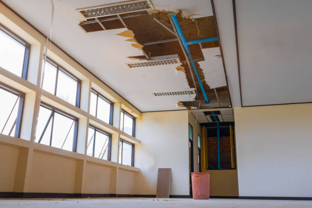 Best Fire Damage Restoration  in Clyde, NC
