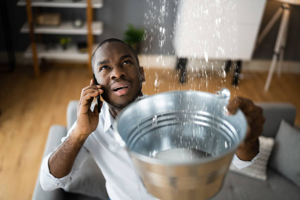 Best Water damage restoration near me  in Clyde, NC