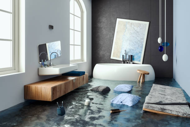 Best Water damage contractors near me  in Clyde, NC