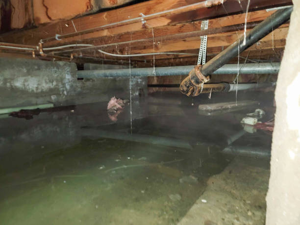 Best Sewage cleanup and water damage restoration  in Clyde, NC