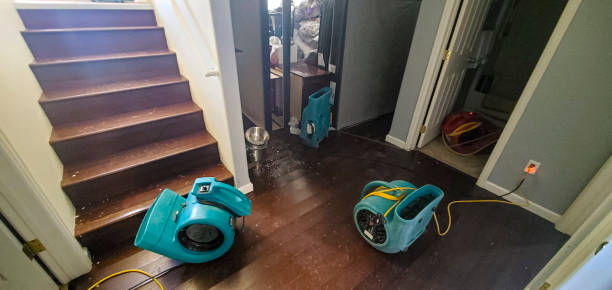 Best Fire Damage Restoration  in Clyde, NC