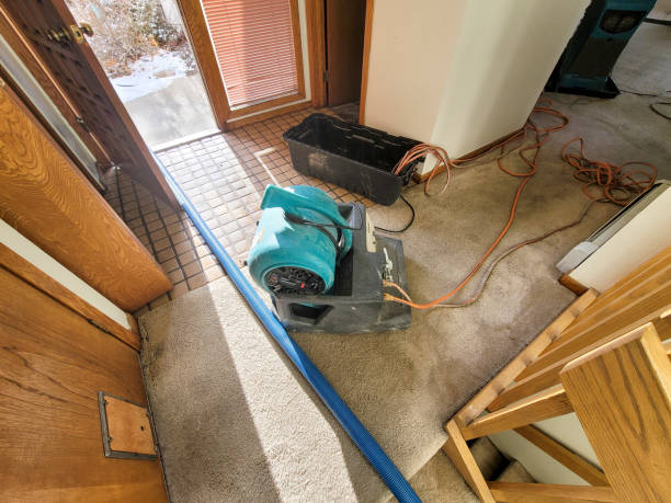 Water damage restoration mold remediation in Clyde, NC