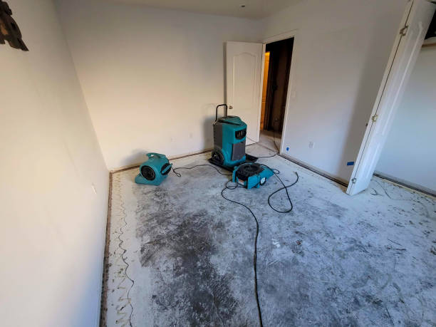 Best 24/7 water damage repair  in Clyde, NC
