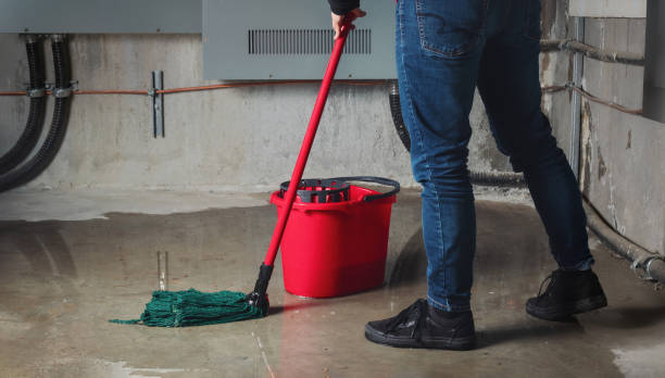 Best Flood damage cleanup  in Clyde, NC