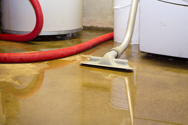 Best Water damage cleanup near me  in Clyde, NC