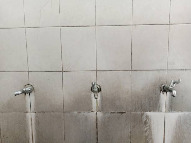 Best Water damage restoration services  in Clyde, NC
