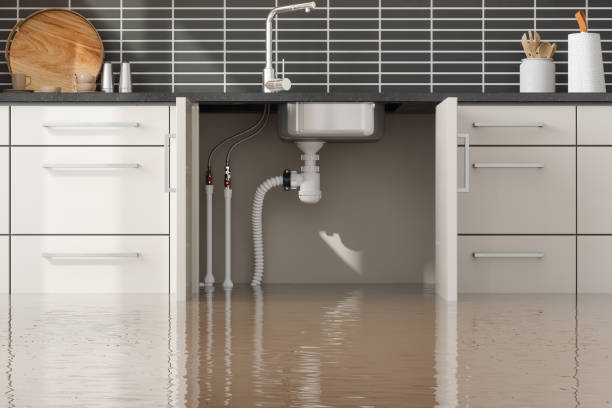 Best Flood restoration services  in Clyde, NC