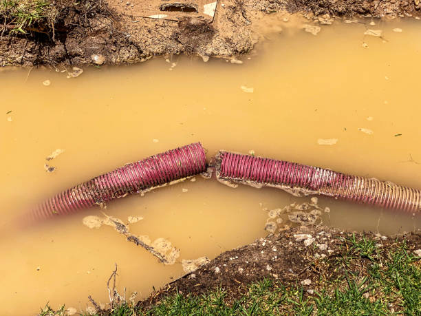 Best Water damage restoration near me  in Clyde, NC