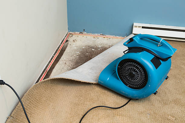 Best 24/7 water damage repair  in Clyde, NC